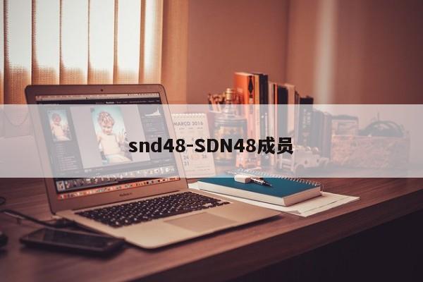 snd48-SDN48成员